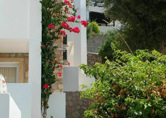 Vega Aparts 3* Gumusluk