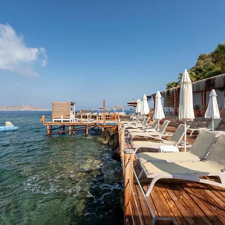 Vega Aparts Apart Otel Gümüşlük