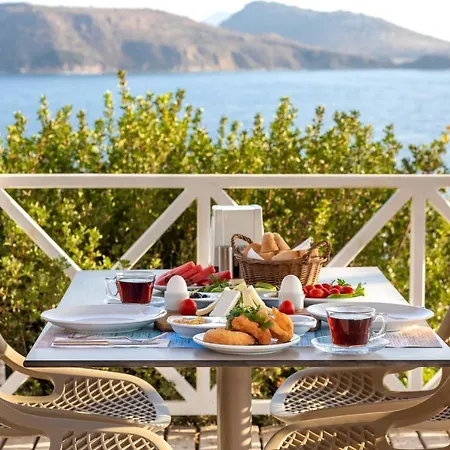 Vega Aparts 규무슬럭