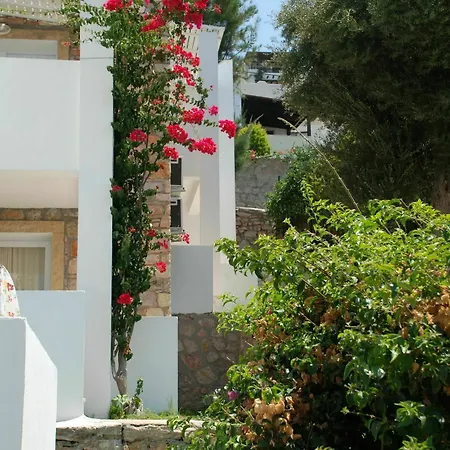 Vega Aparts 3* Gümüşlük